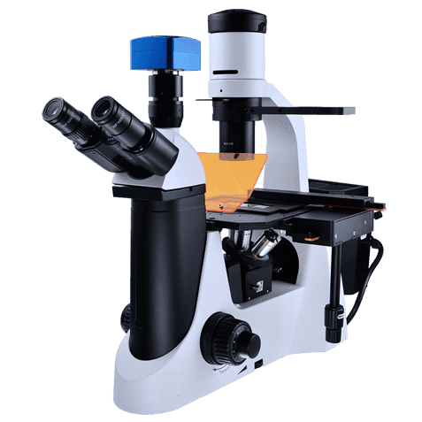 倒置生物显微镜